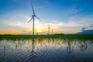 Field of windmills over a wetland at sunset