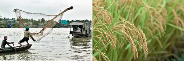 Mekong-Fishing