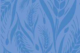 WWW Abstract volume 2012-273x181