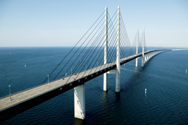 WWW report 2013-273x181