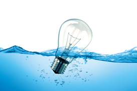 WWW report 2014-273x181