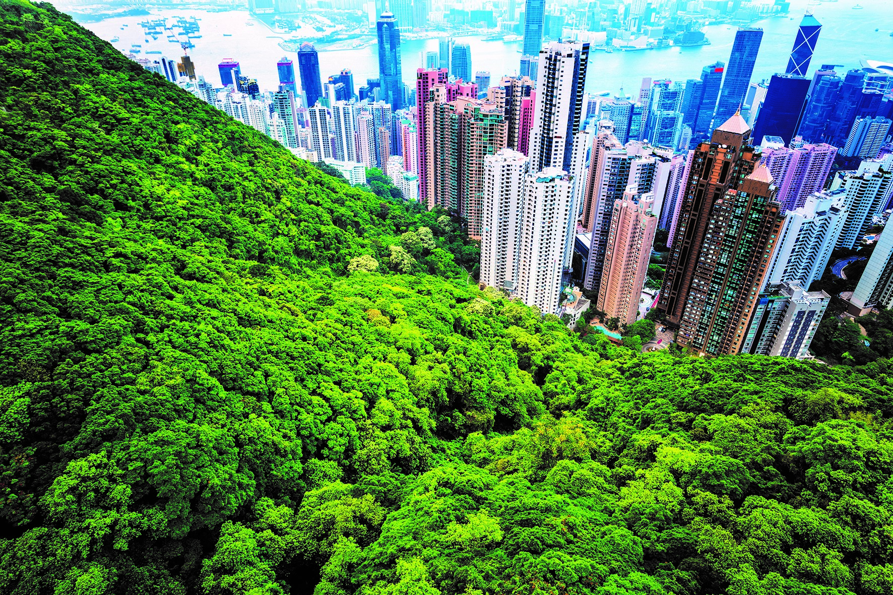 Areal view of a city with skyscrapers. In the foreground, a dense canopy of green trees