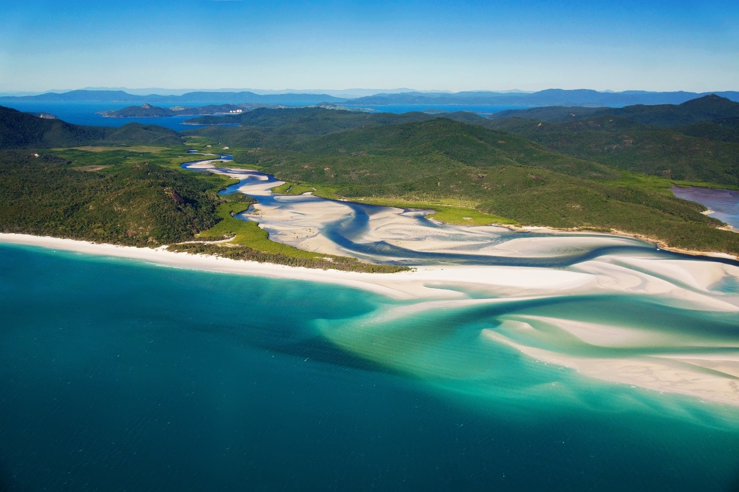 white sandy beach with greenery on the background