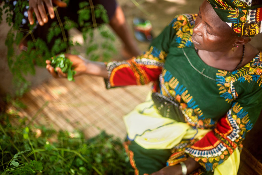 Women in the Katfoura village on the Tristao Islands in Guinea