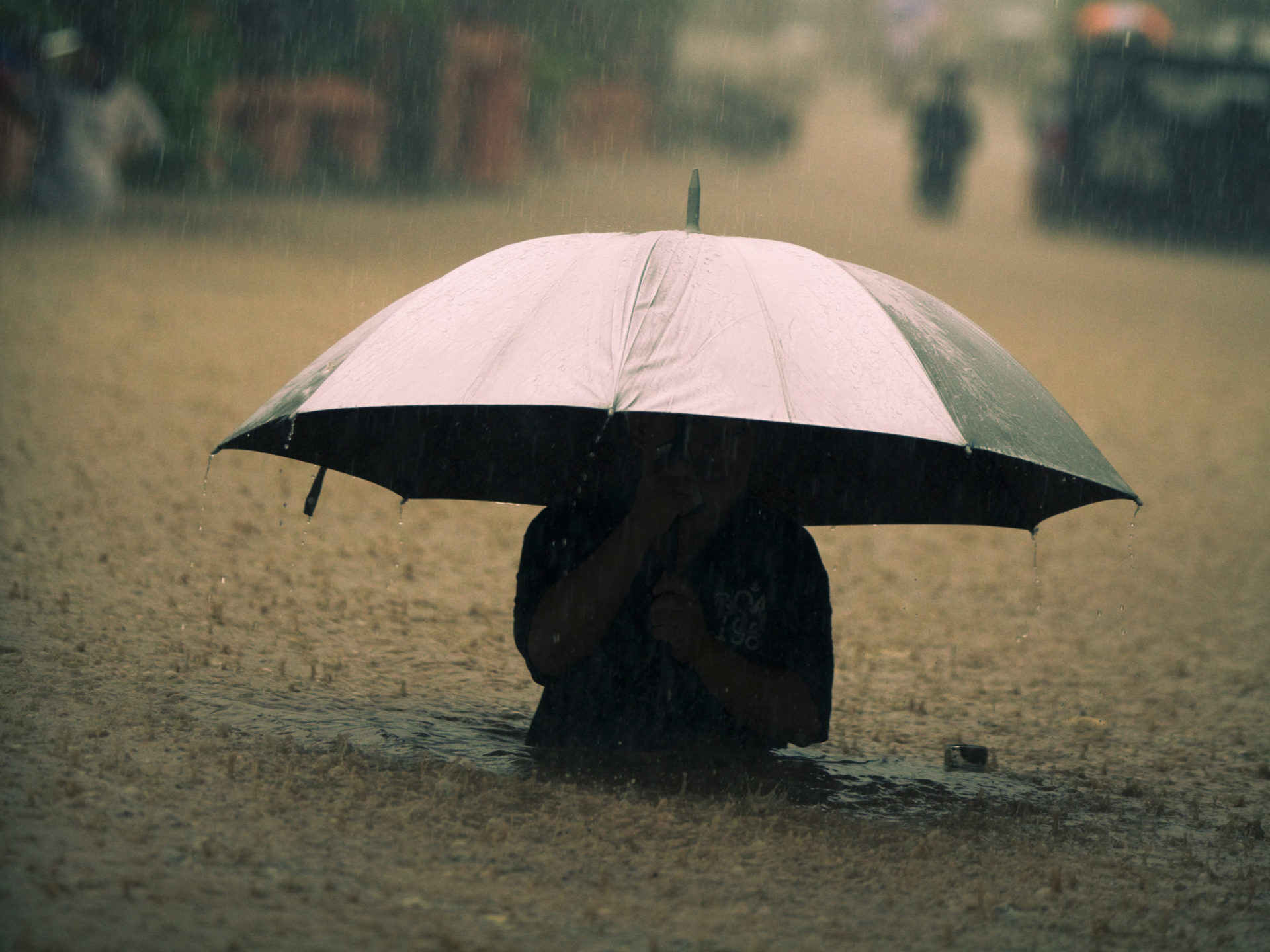 iStock_000015619138-resized