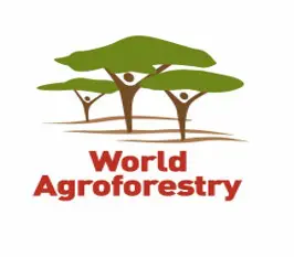 trees with people holding canpopies portrayed as the tree trunks and hands are branches. World Agrof