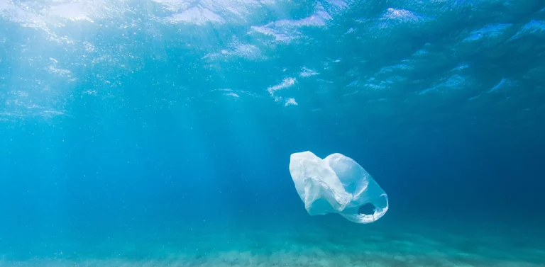 Plastic bag floating in turquoise water