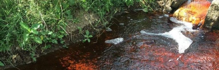 River running in the forest