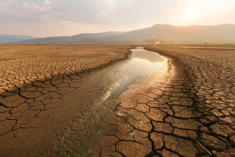 Dry river bed with dessication cracks.