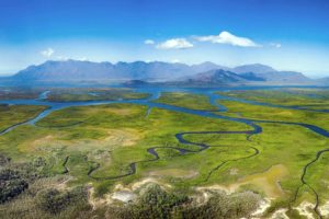 Meandering rivers through a mangrove forest, making their way out to sea.