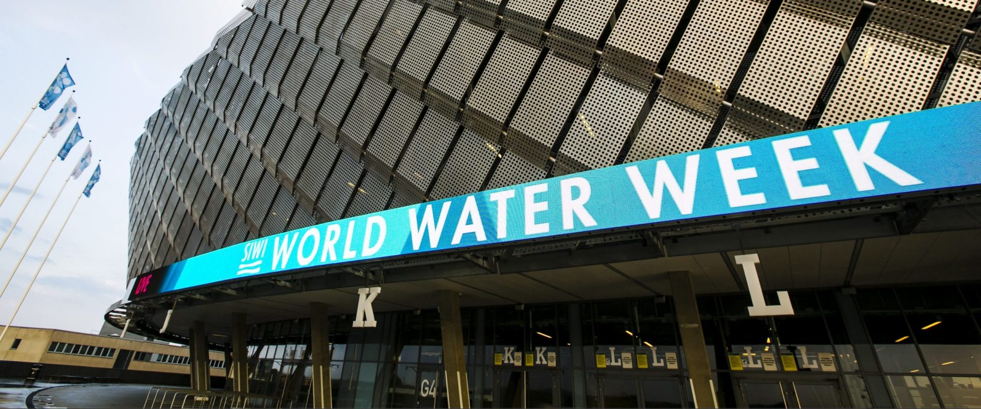 48677810682_f5a0bf19fd_o-scaled-e1584441249254