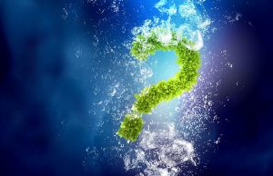Question mark made of green leaves, floating in dark blue water with bubbles all around