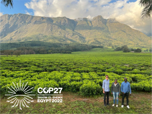 Anton Earle, Xanani Baloyi and Kasonde Mulenga - SIWI's Africa Regional Centre team - standing in fr