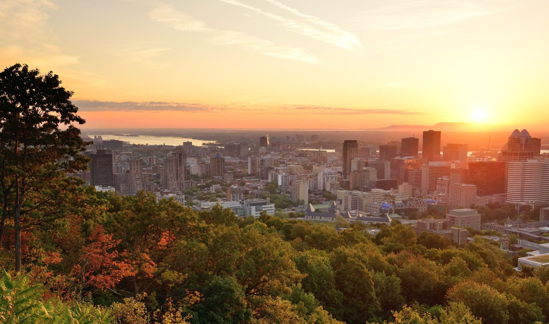 Montreal at dusk with urban skyscrapers viewed from Mont Royal