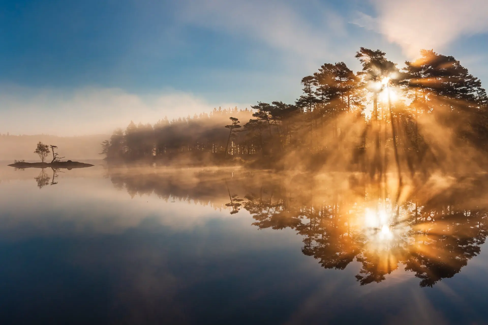 sun setting behind a tree reflecting on water