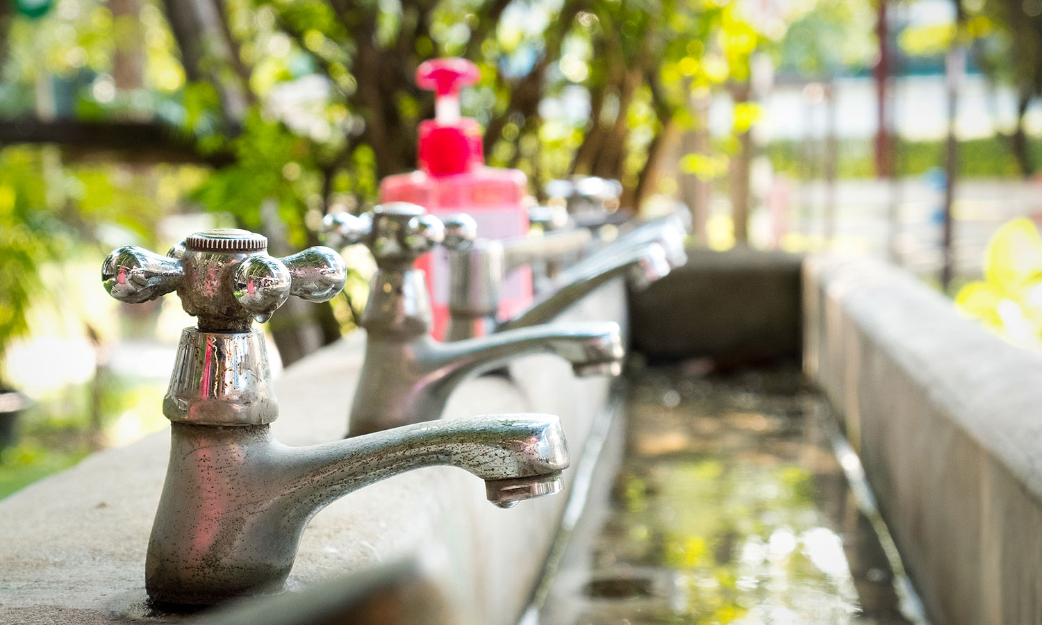 Outdoor taps outside a school, with pink soap bottle and green foliage around