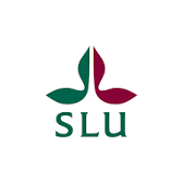 SLU