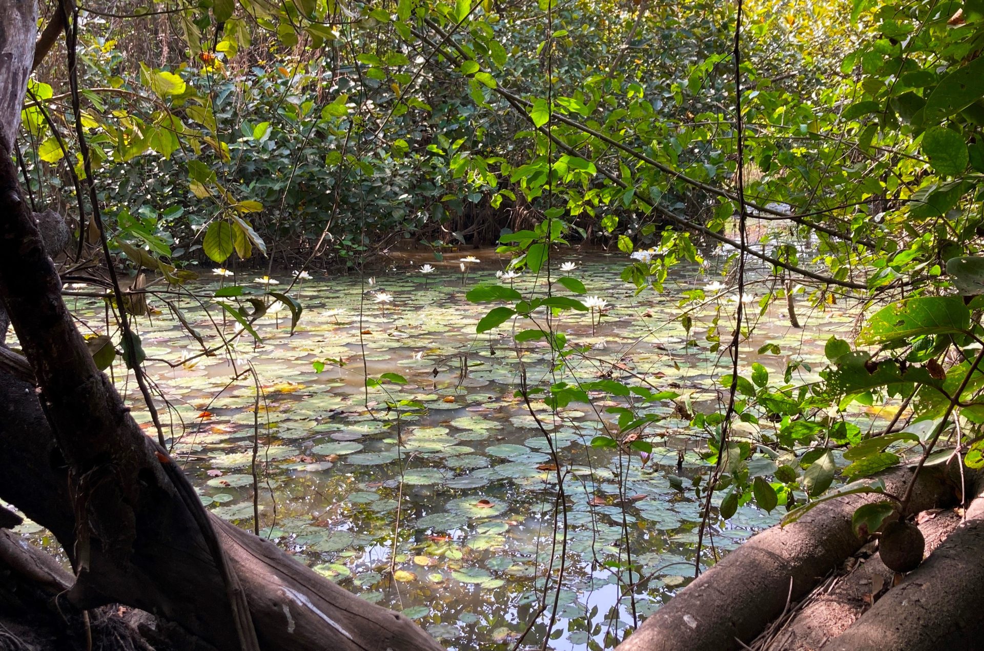 Headwaters of the ​Mékrou river in Atacora, ​North Benin ​(© GIZ/F4F Bénin)​