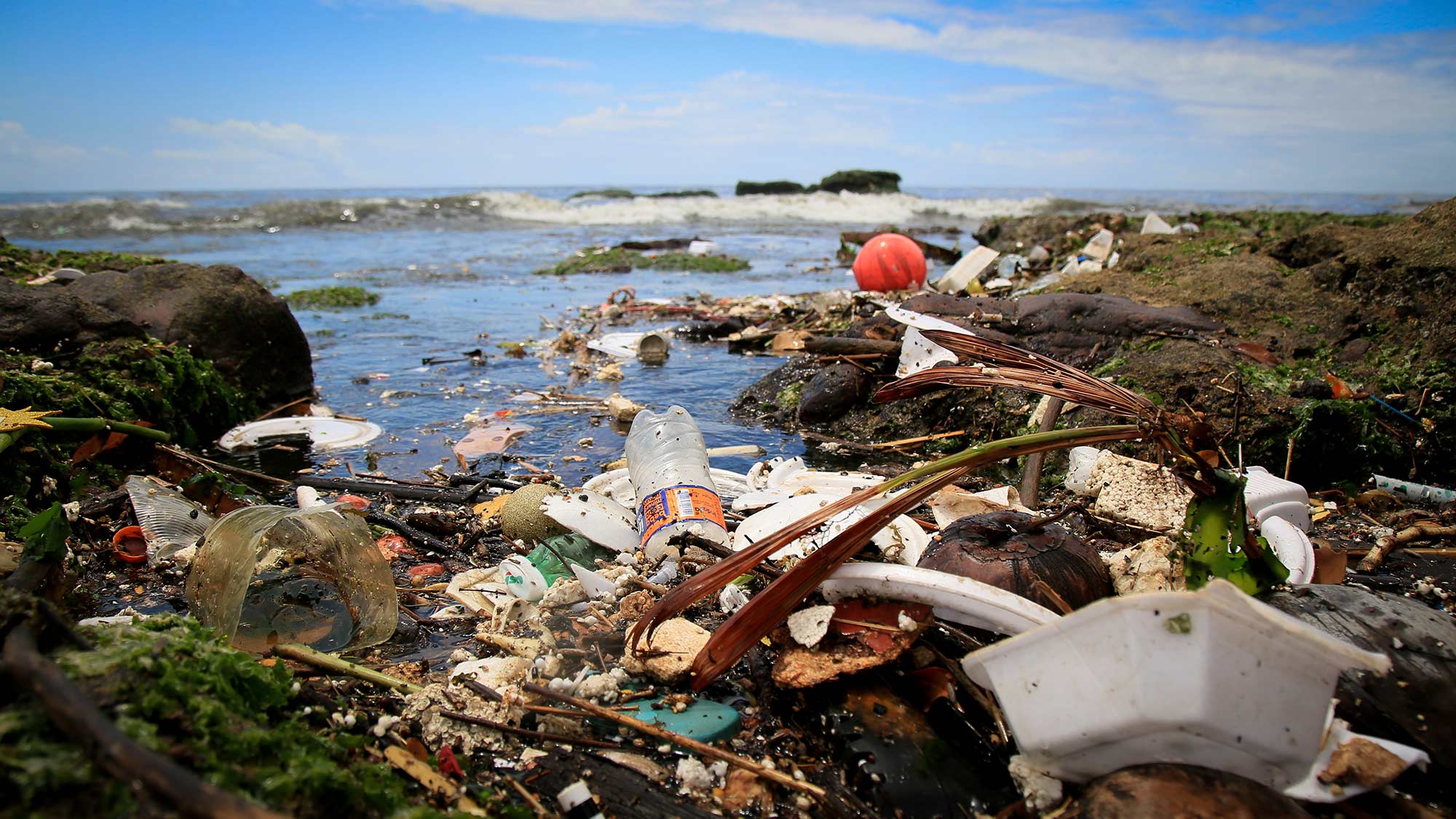 Litter-entering-ocean-from-local-river