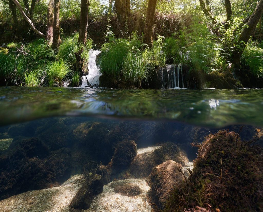 River with sunlight shining through