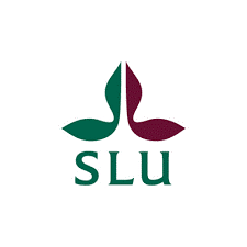 SLU Global