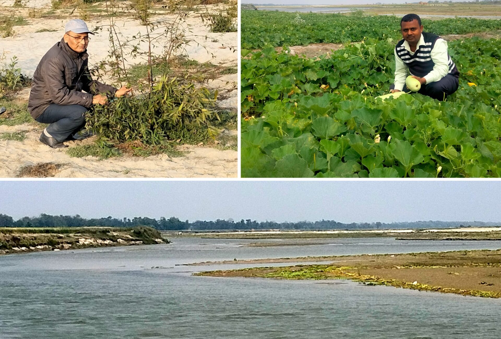 Collage of 3 photos from the LoCoFoRest project in Nepal: top left: person crouching beside a bamboo plant. top right: person crouching in a squash field. bottom: large river bed